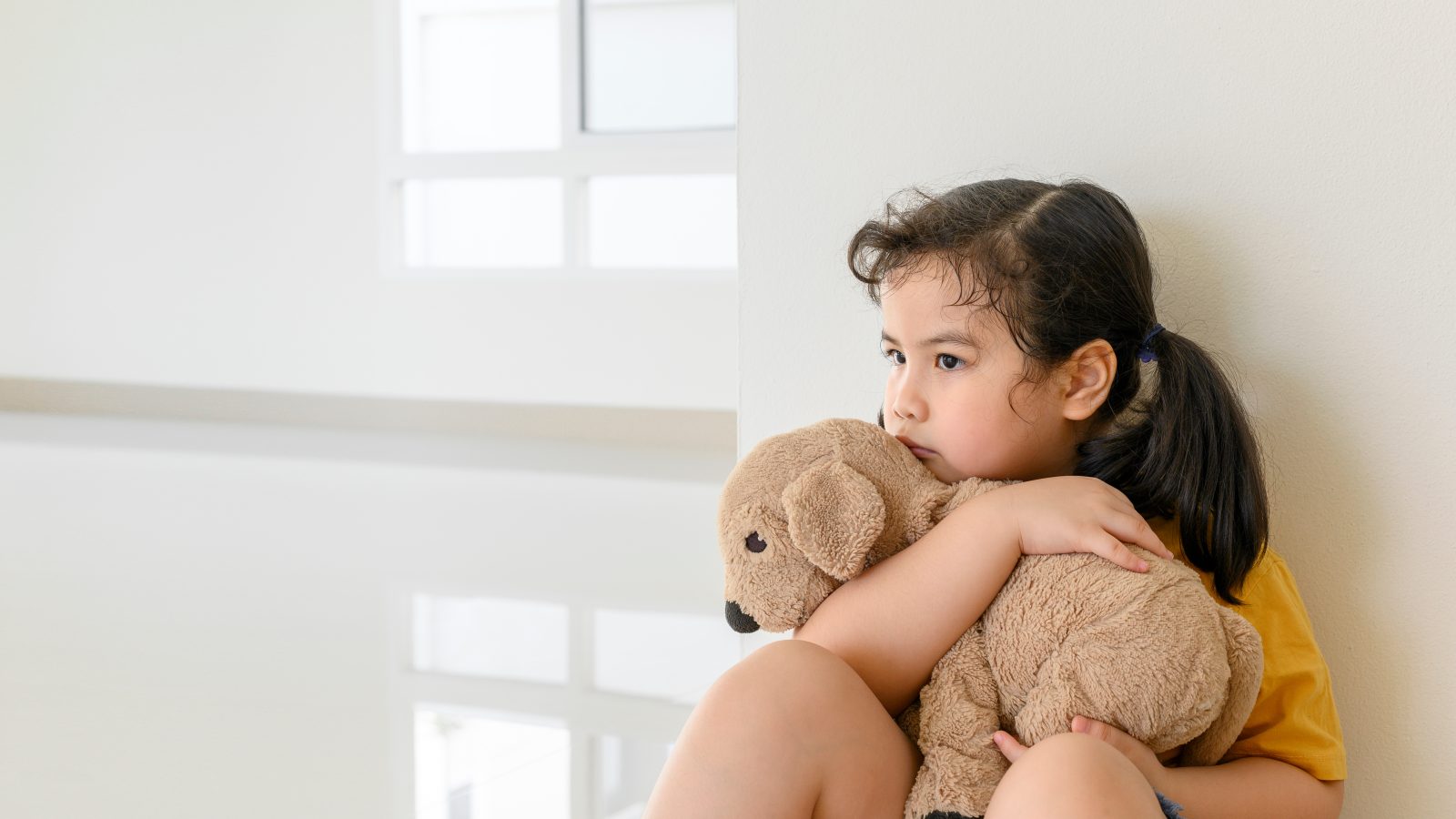Featured image for “Understanding the Impacts of Trauma on a Child’s Development”
