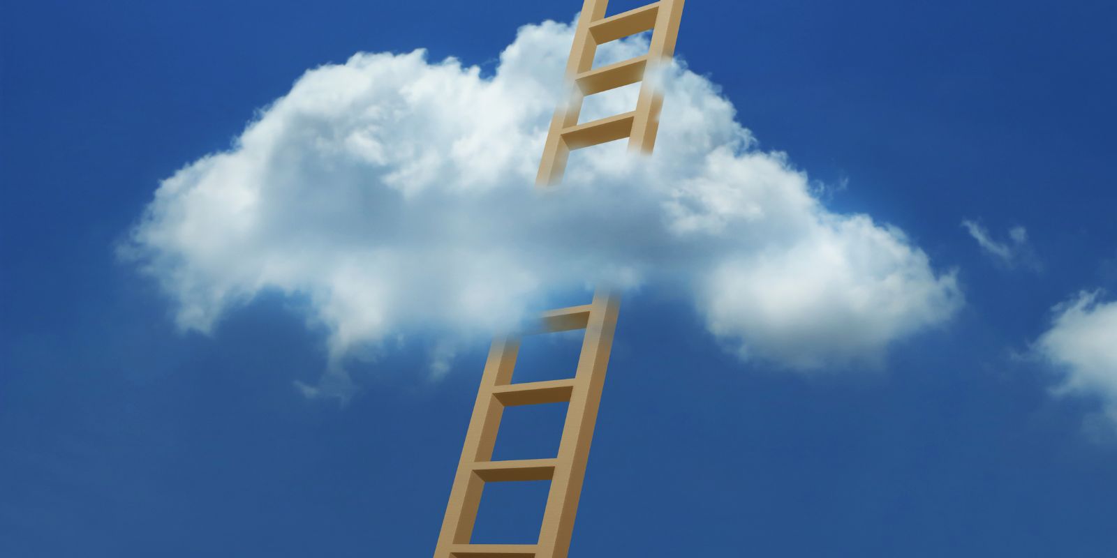 Featured image for “Growing Our Own: Tegan’s Scholarship Success Story”